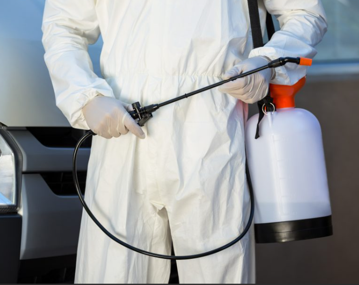 Pest control technician inspecting a Brisbane property