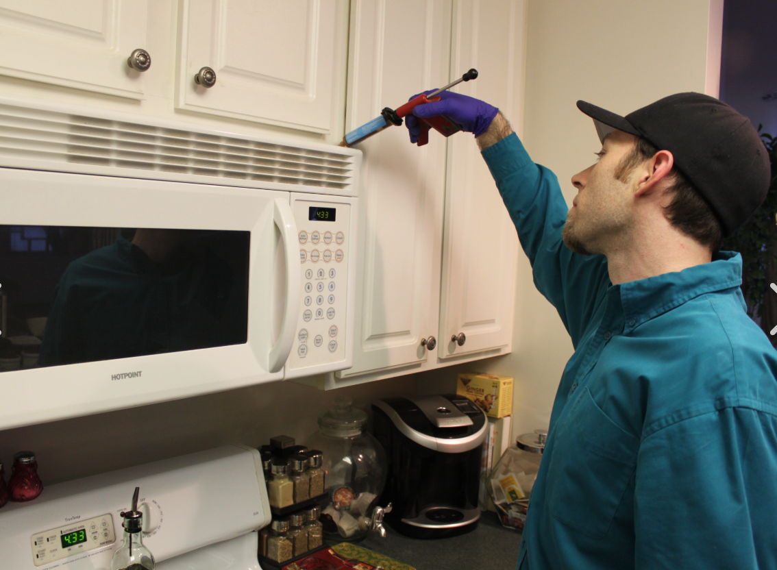 Professional pest control service Brisbane